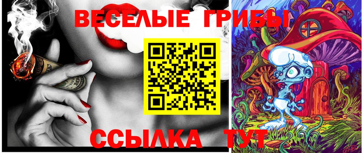 Галлюциногенные грибы Magic Shrooms Коркино