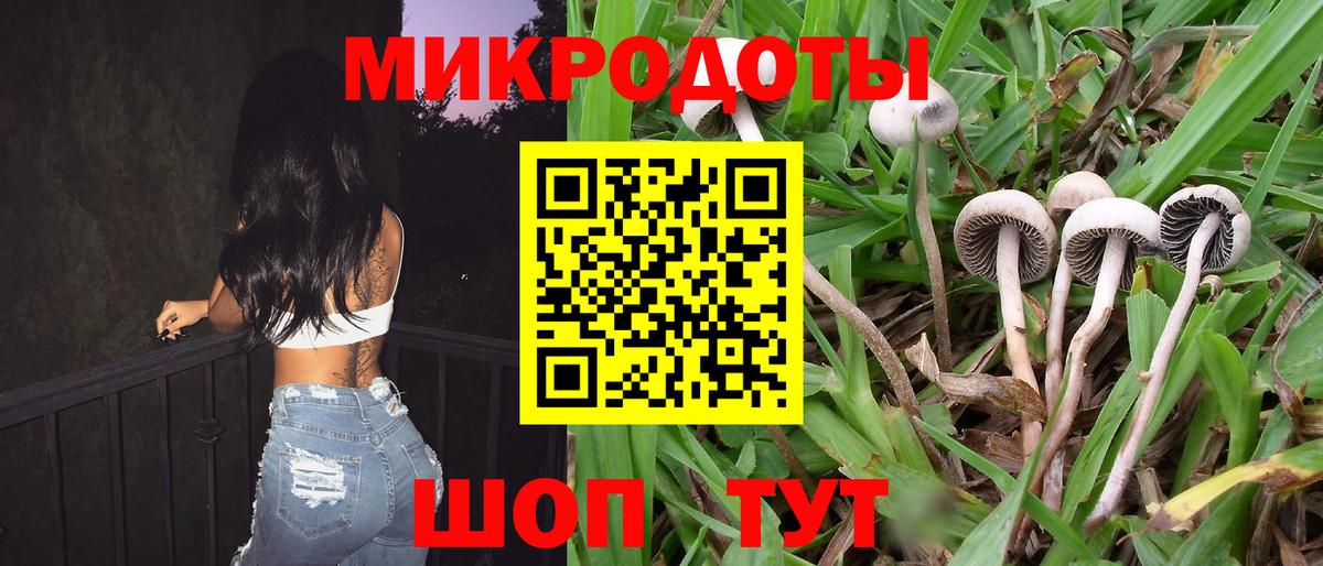 Псилоцибиновые грибы Psilocybine cubensis  Вход с VPN  Коркино 
